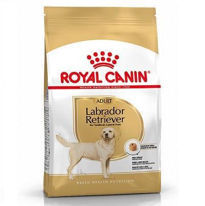 Royal Canin Labrador Retriever Adult 12kg | Luxury Home Accessories | Heulog Glow