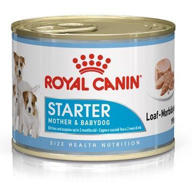 Royal Canin Starter Mousse Mother & Baby 12 x 195g | Luxury Home Accessories | Heulog Glow