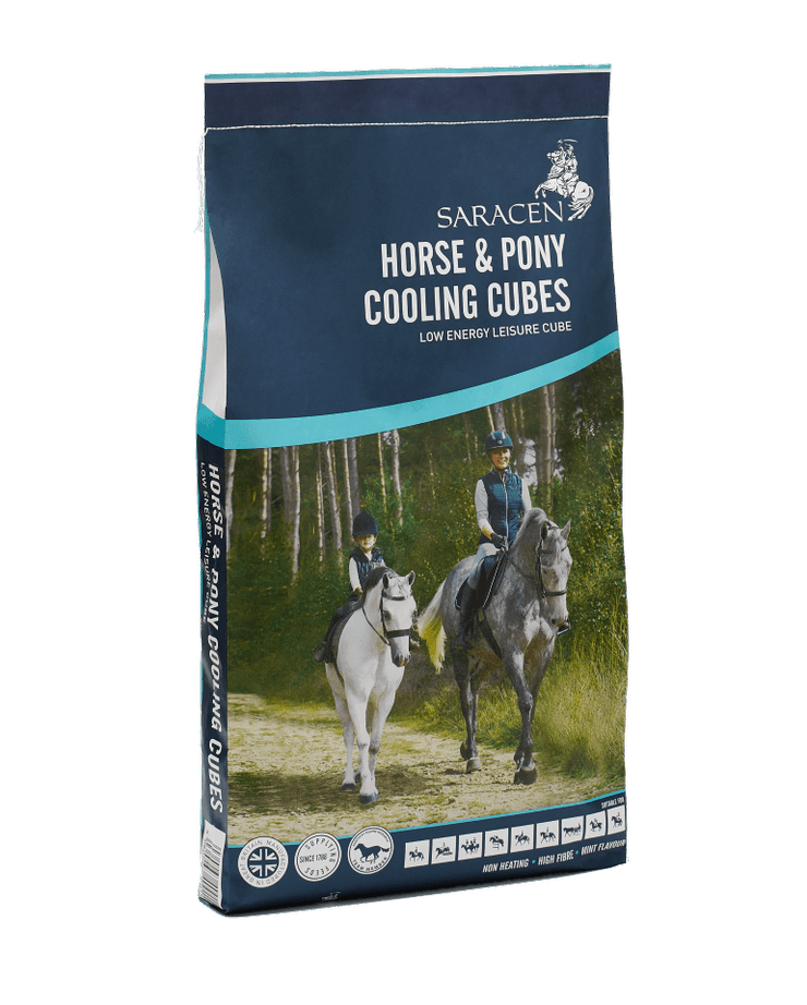 Saracen Horse & Pony Cooling Cubes | Luxury Home Accessories | Heulog Glow