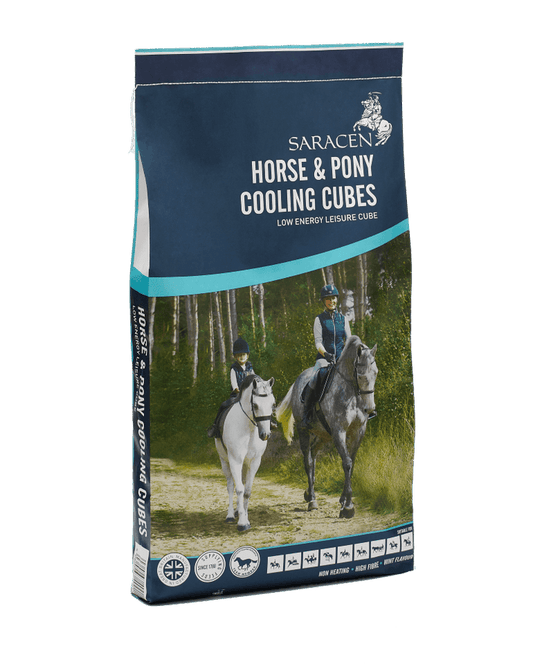 Saracen Horse & Pony Cooling Cubes | Luxury Home Accessories | Heulog Glow