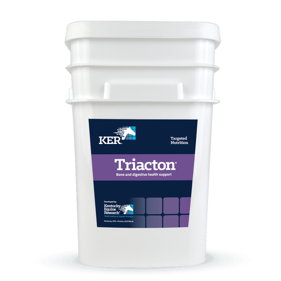 Saracen KER Triaction | Luxury Home Accessories | Heulog Glow