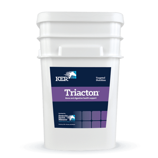 Saracen KER Triaction | Luxury Home Accessories | Heulog Glow