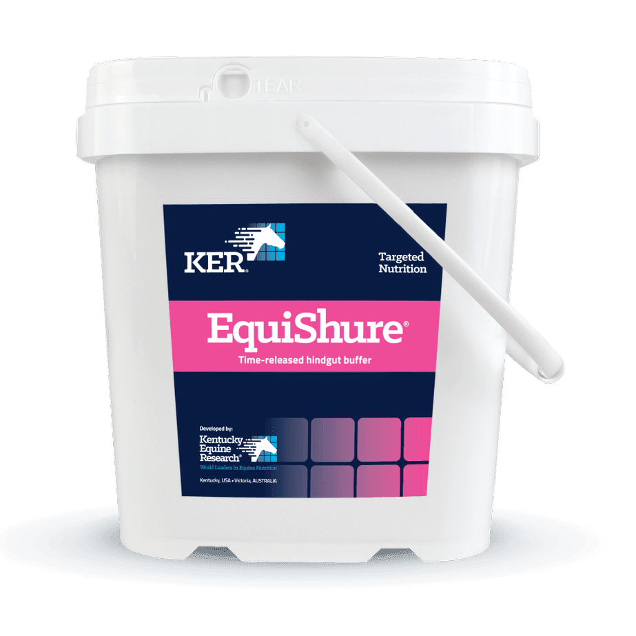 Saracen KERx EquiShure 3.6kg | Luxury Home Accessories | Heulog Glow