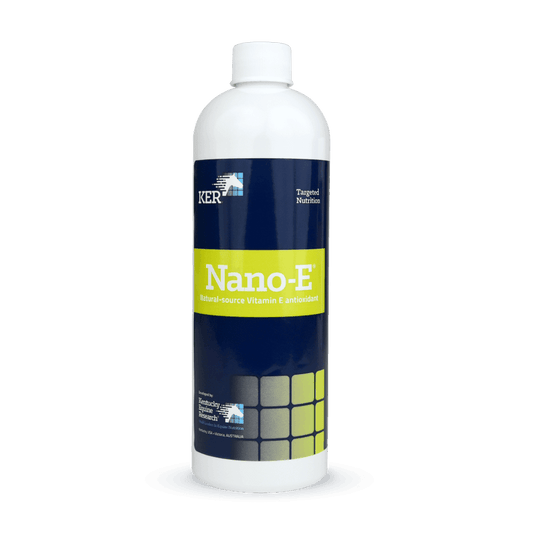 Saracen KERx Nano-E 450ml | Luxury Home Accessories | Heulog Glow