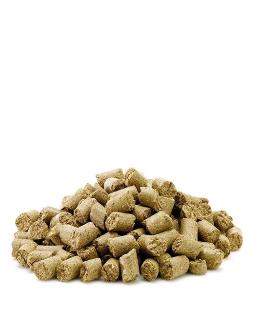 Saracen Munchies | Luxury Home Accessories | Heulog Glow