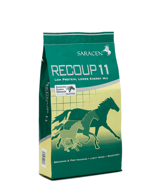 Saracen Re-Coup 11 | Luxury Home Accessories | Heulog Glow