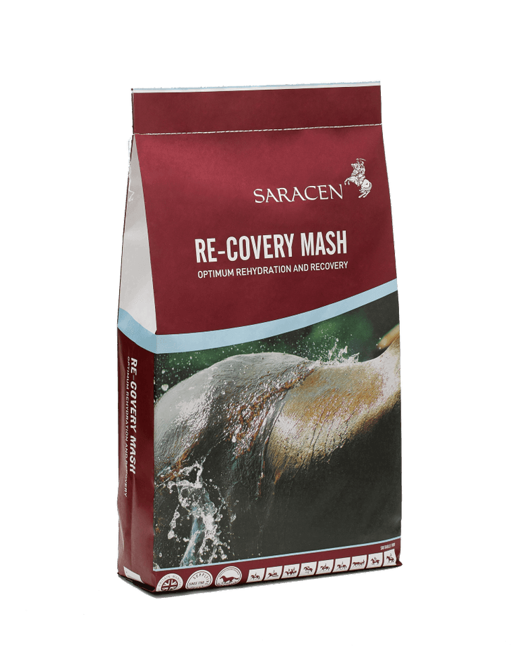 Saracen Re-Covery Mash | Luxury Home Accessories | Heulog Glow