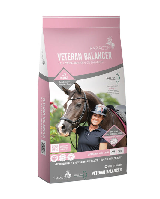 Saracen Veteran Balancer | Luxury Home Accessories | Heulog Glow