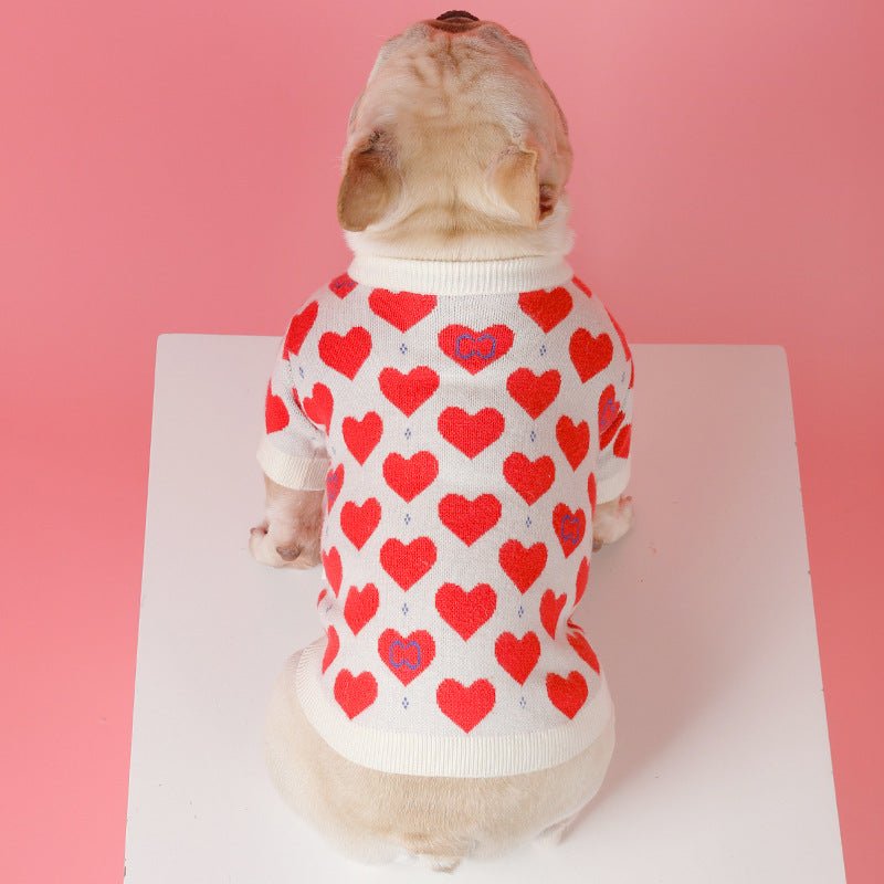 Schnauzer Small Dog Cat Knitted Sweater | Luxury Home Accessories | Heulog Glow