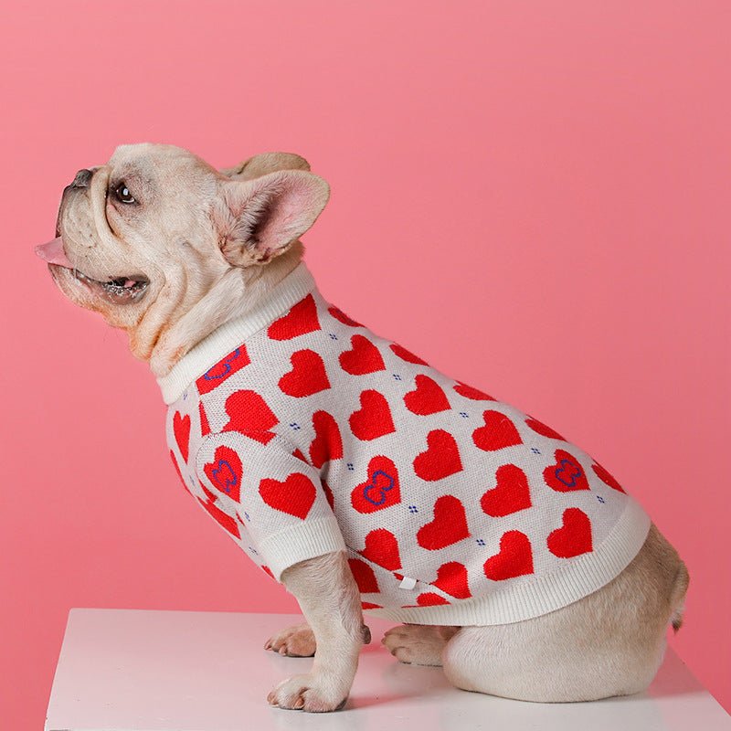 Schnauzer Small Dog Cat Knitted Sweater | Luxury Home Accessories | Heulog Glow