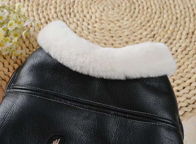 Screaming Eagle Leather Dog Jacket | Luxury Home Accessories | Heulog Glow