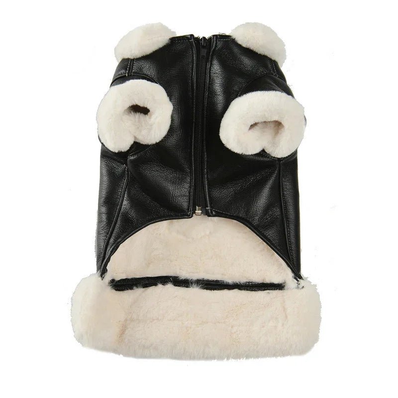Screaming Eagle Leather Dog Jacket | Luxury Home Accessories | Heulog Glow
