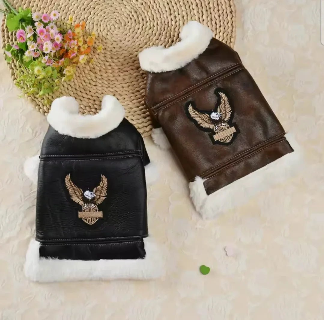 Screaming Eagle Leather Dog Jacket | Luxury Home Accessories | Heulog Glow