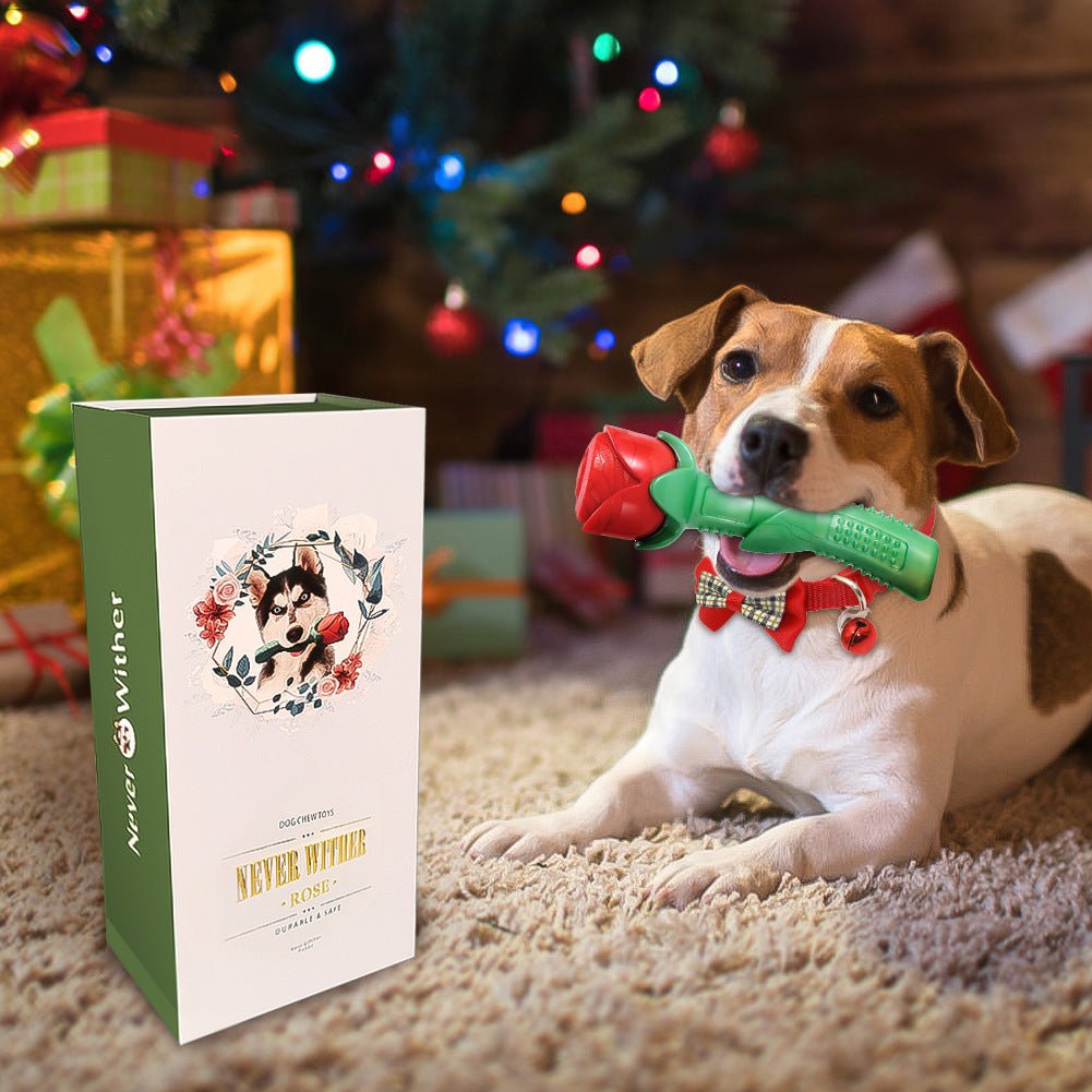 Self-Hi Toy Gift Boxed Dog Toy Rose Stick | Luxury Home Accessories | Heulog Glow