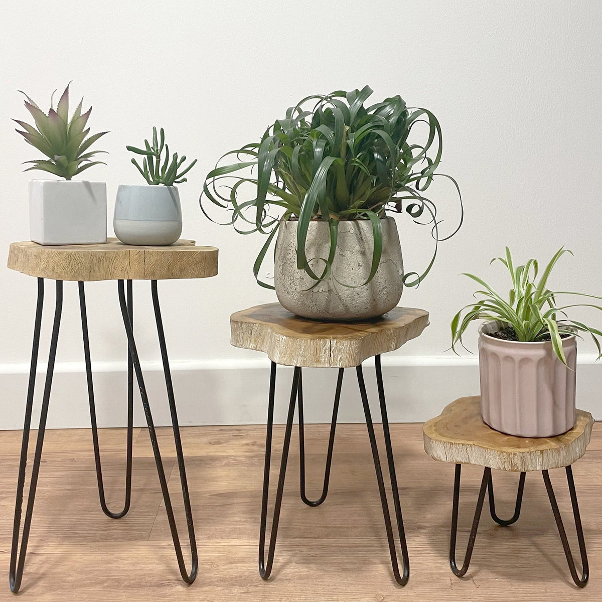 Set of 3 Gamal Wood Plant Stands - Greenwash | Luxury Home Accessories | Heulog Glow