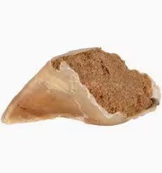 Sheep Fat Filled Hoof | Luxury Home Accessories | Heulog Glow