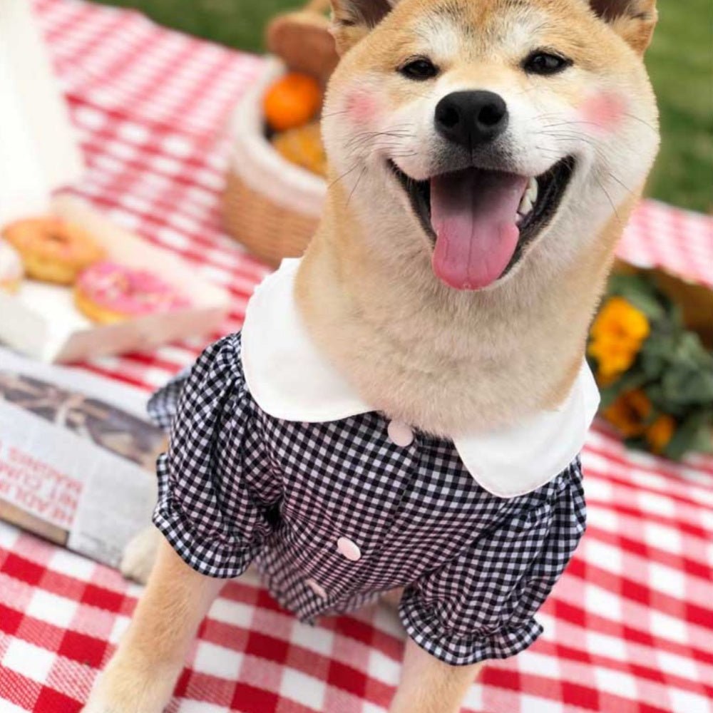 Shirt Tide Pet Clothes | Luxury Home Accessories | Heulog Glow