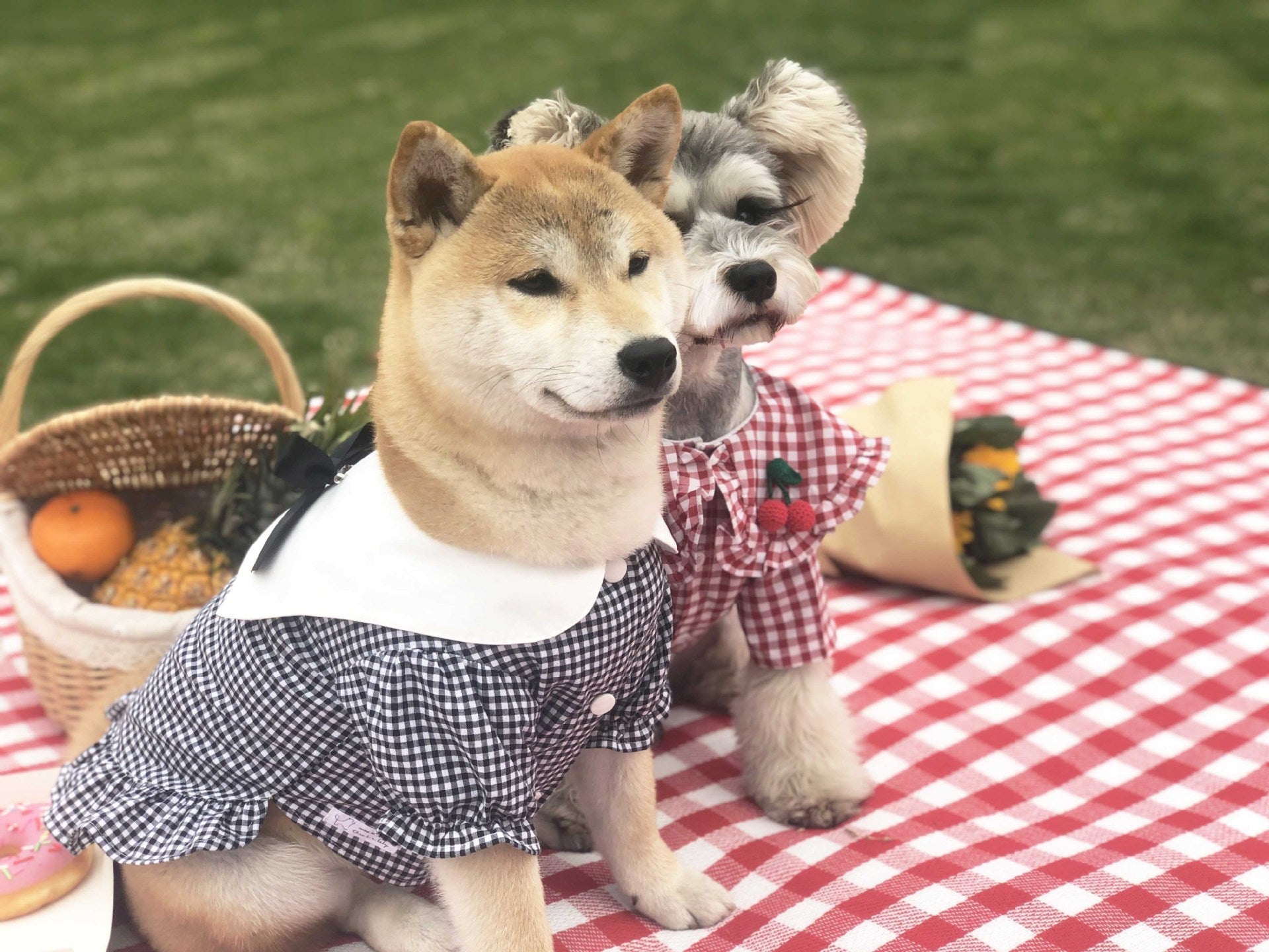Shirt Tide Pet Clothes | Luxury Home Accessories | Heulog Glow