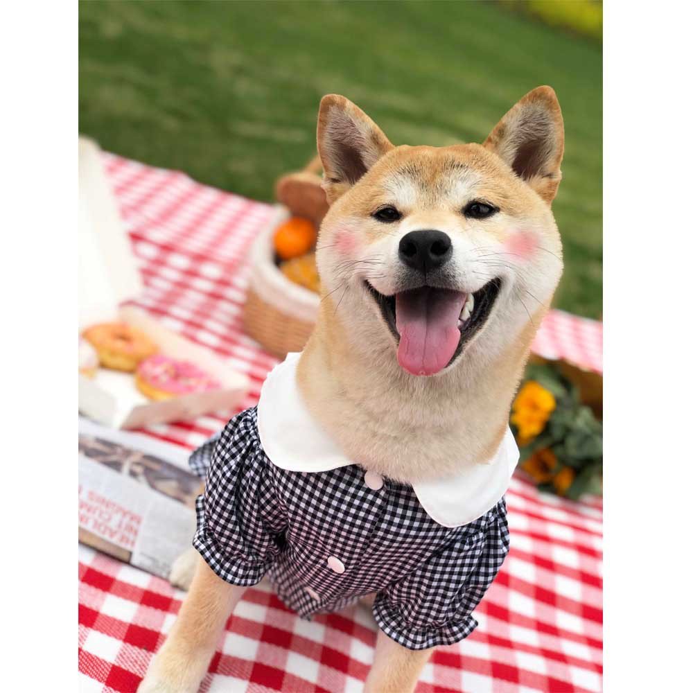 Shirt Tide Pet Clothes | Luxury Home Accessories | Heulog Glow