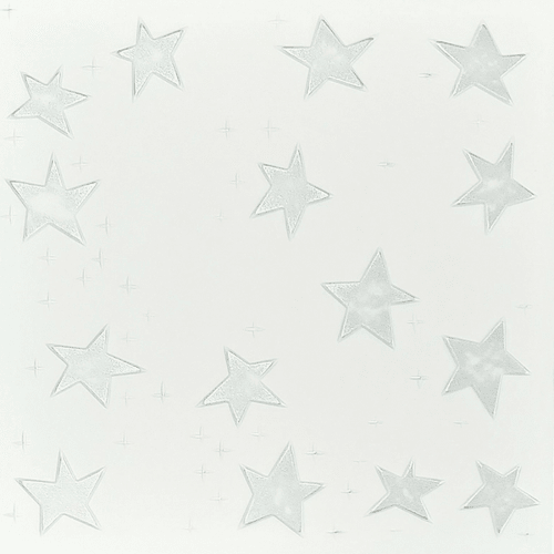 Silver Stars: Decorative Ceiling & Wall Panels - 2m2 (21.52 sqft) - 8 Panels