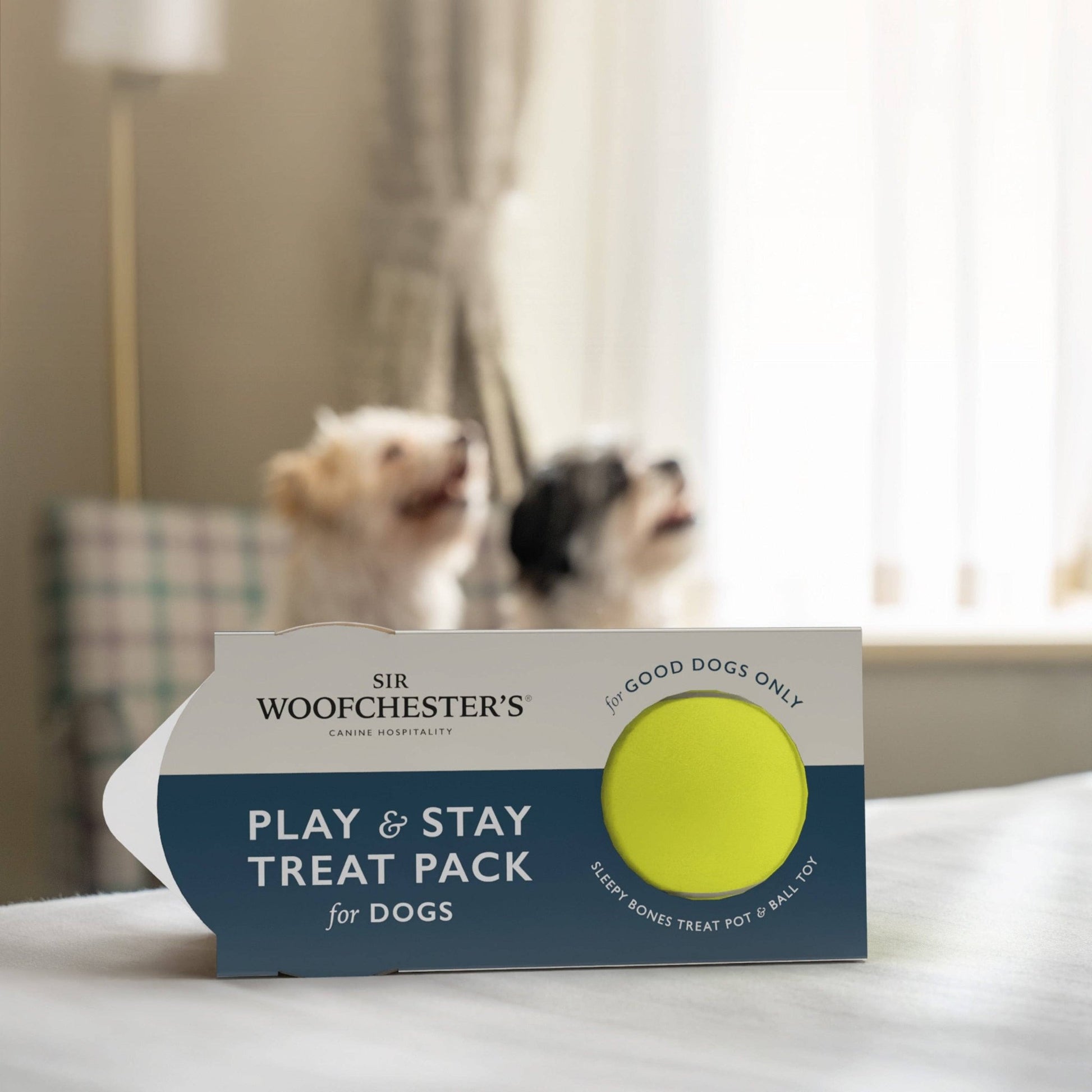Sir Woofchester’s - Play & Stay Treat Pack for Dogs | Dog Welcome Pack - Single Pack | Luxury Home Accessories | Heulog Glow