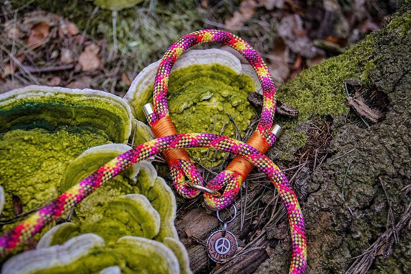 Slip Rope Collar - Handmade Paracord Dog Collar | Luxury Home Accessories | Heulog Glow