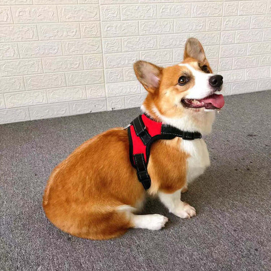 Small Dog Vest Type Rope Chest Back | Luxury Home Accessories | Heulog Glow