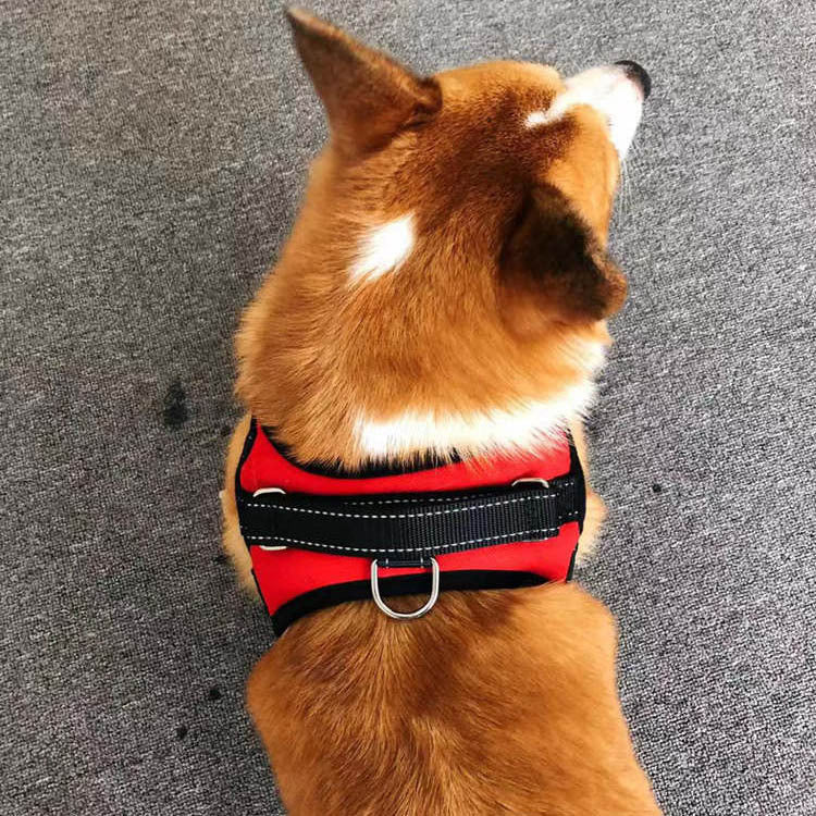 Small Dog Vest Type Rope Chest Back | Luxury Home Accessories | Heulog Glow