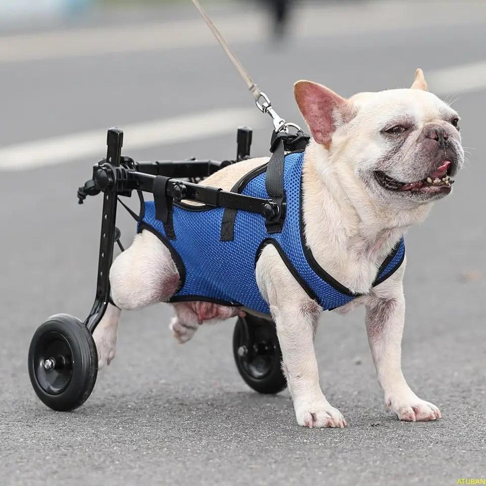 Small Dog Wheelchair | Luxury Home Accessories | Heulog Glow