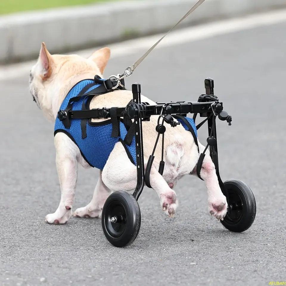 Small Dog Wheelchair | Luxury Home Accessories | Heulog Glow