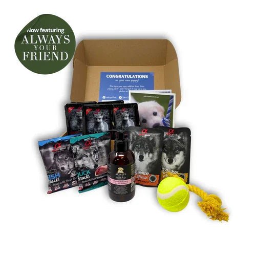 Small Puppy Pack (Sabre Pet Food) | Luxury Home Accessories | Heulog Glow