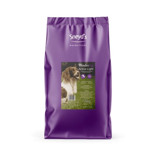 Sneyds Wonderdog Active-Light | Luxury Home Accessories | Heulog Glow