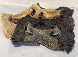 Snout Hairy | Luxury Home Accessories | Heulog Glow