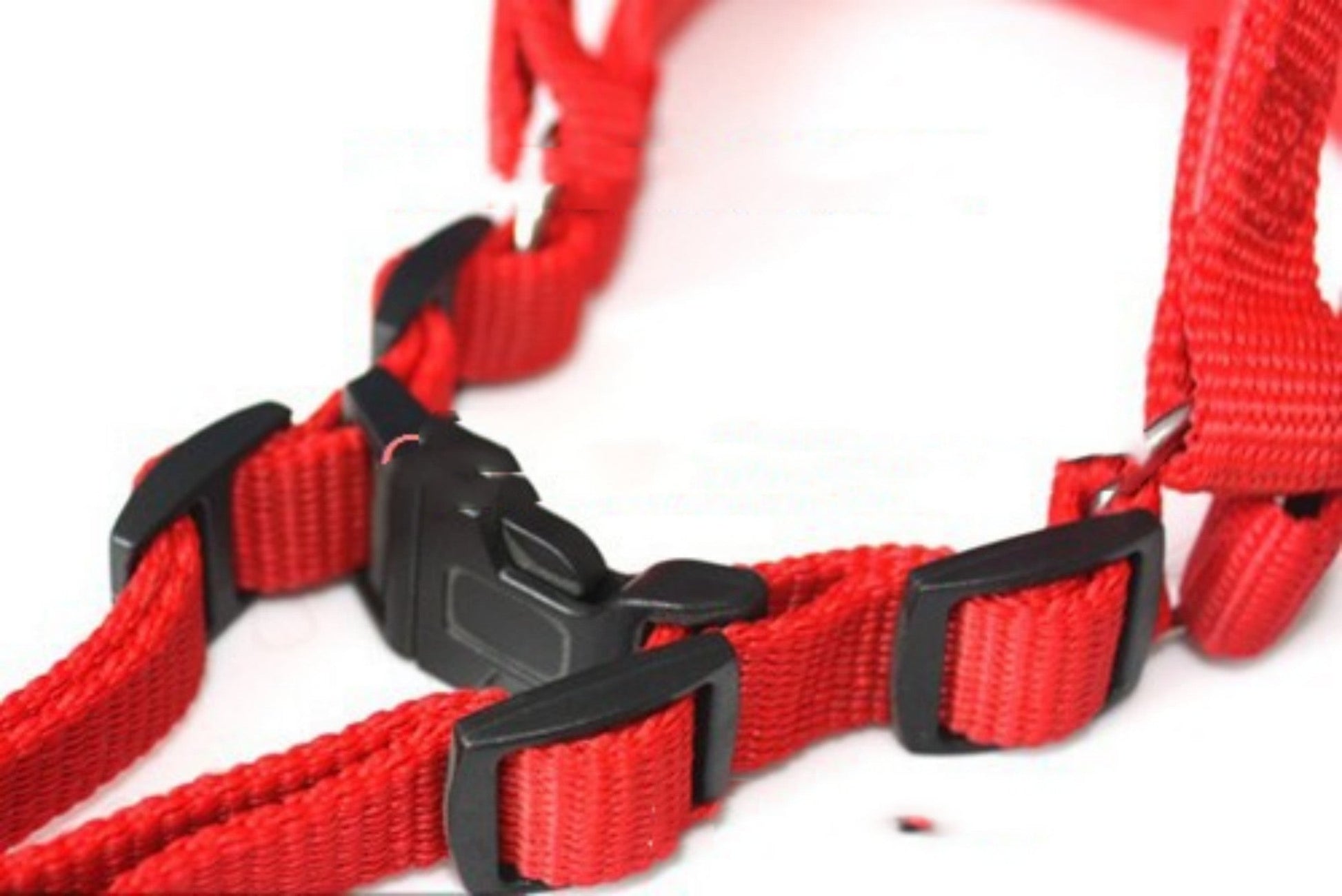 Soft Lining Polypropylene Foam Pet Harness Traction Belt | Luxury Home Accessories | Heulog Glow