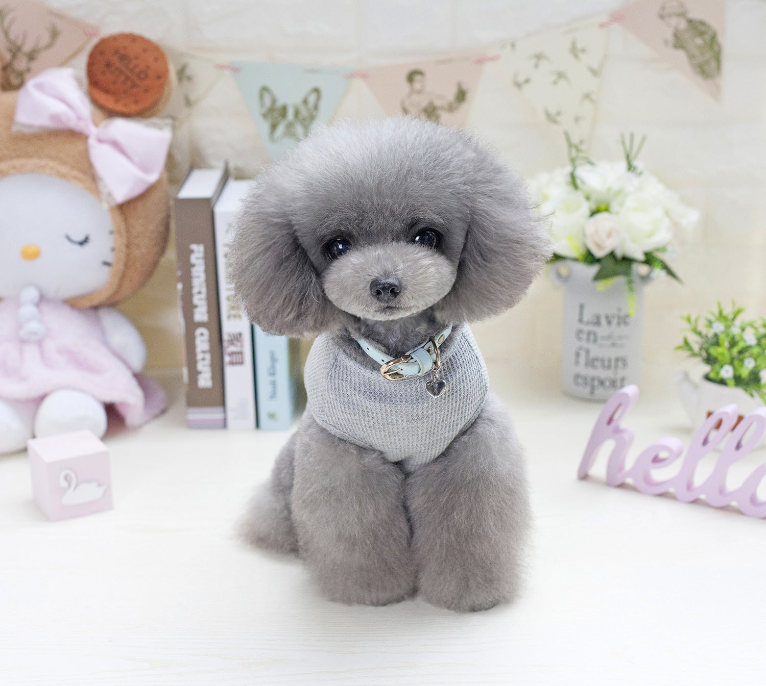 Solid color dog breathable T-shirt vest | Luxury Home Accessories | Heulog Glow