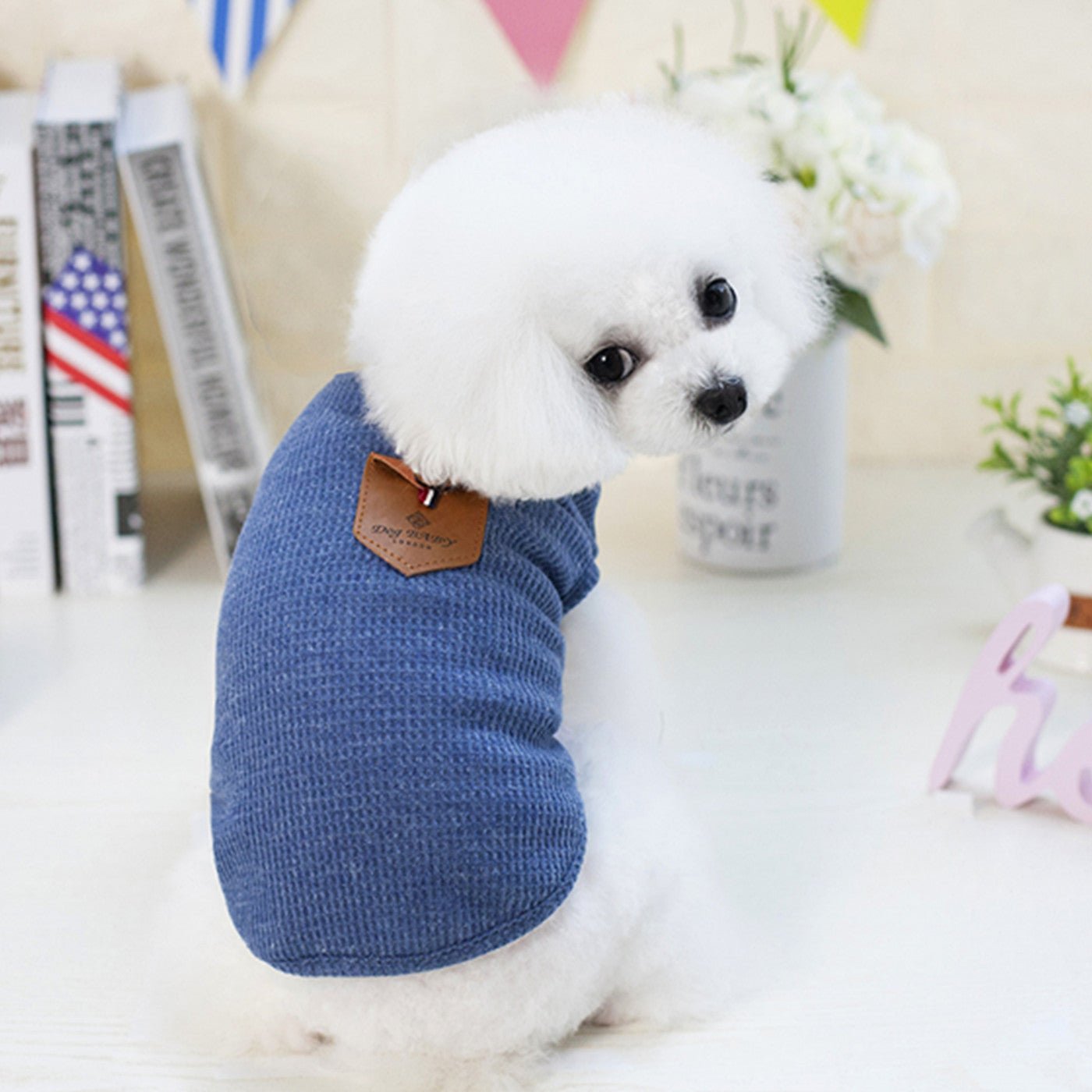 Solid color dog breathable T-shirt vest | Luxury Home Accessories | Heulog Glow