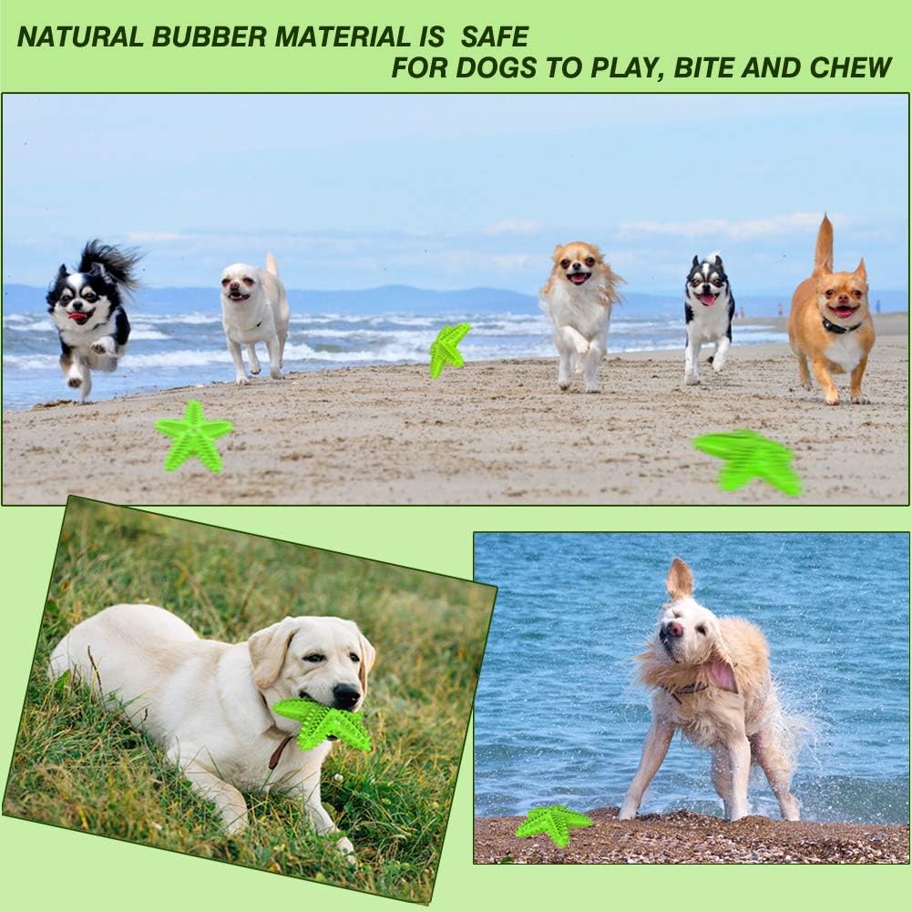 Sounding Starfish The Natural Toothbrush For Small And Medium Dogs Starfish Natural Tooth Brush Teeth Cleaning | Luxury Home Accessories | Heulog Glow