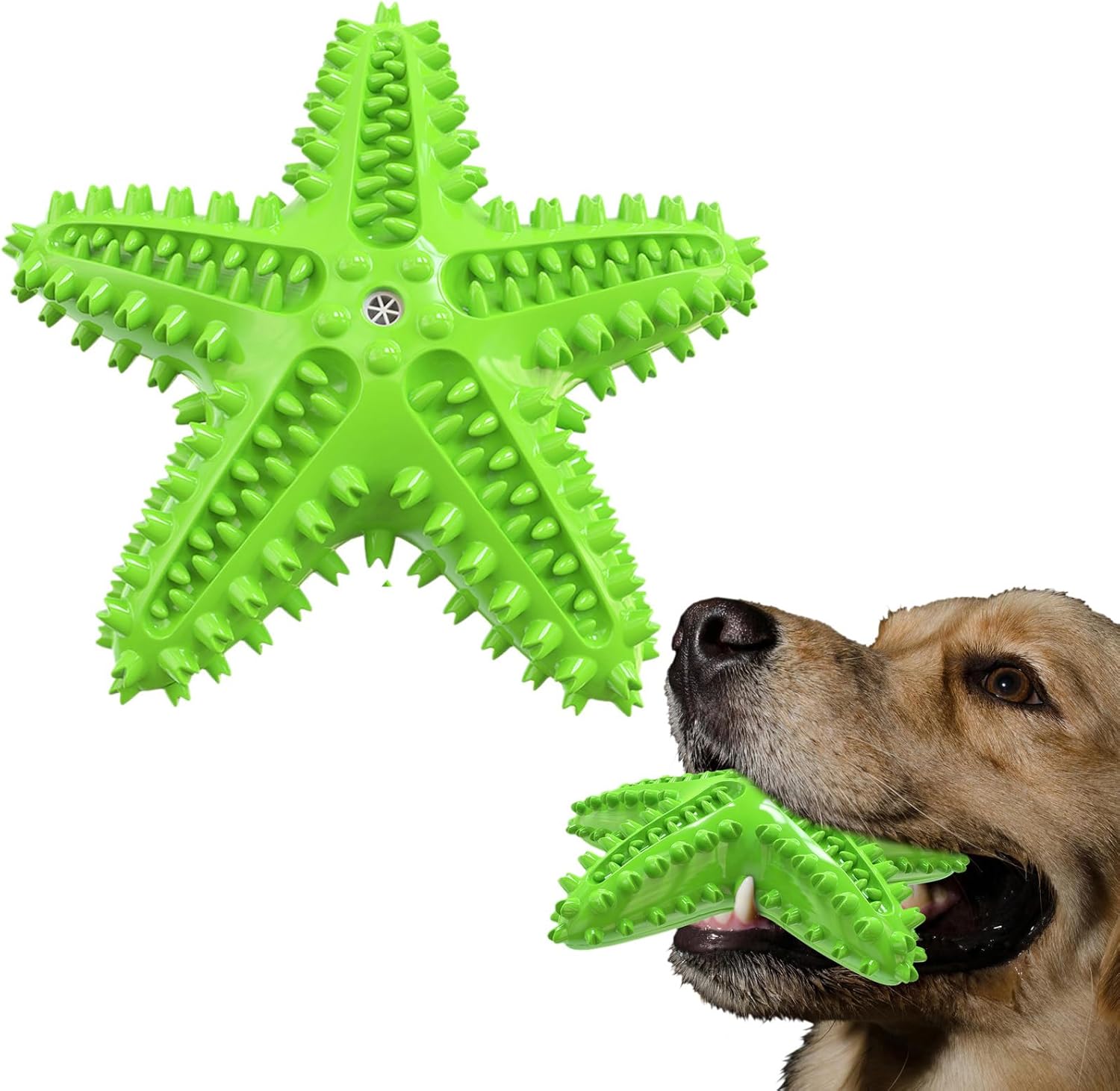 Sounding Starfish The Natural Toothbrush For Small And Medium Dogs Starfish Natural Tooth Brush Teeth Cleaning | Luxury Home Accessories | Heulog Glow