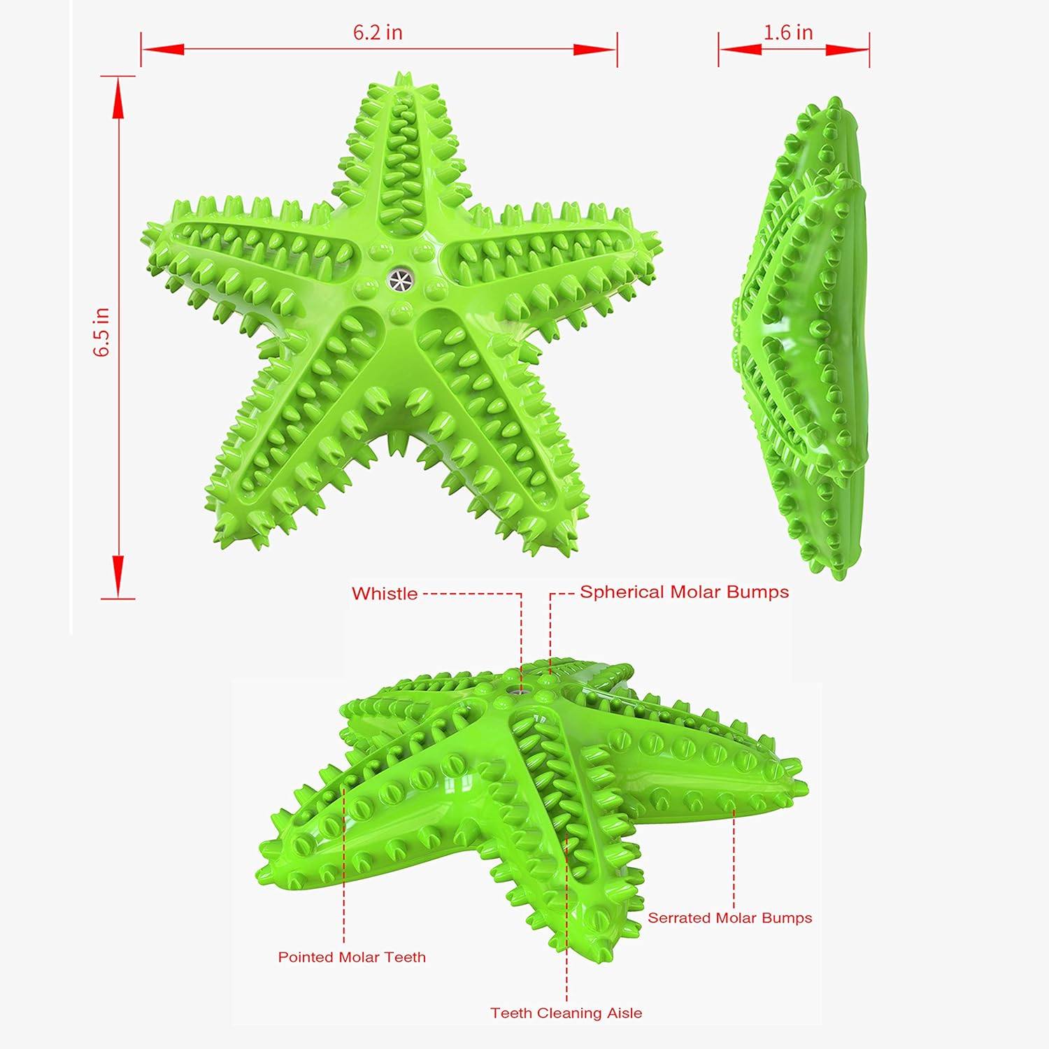 Sounding Starfish The Natural Toothbrush For Small And Medium Dogs Starfish Natural Tooth Brush Teeth Cleaning | Luxury Home Accessories | Heulog Glow