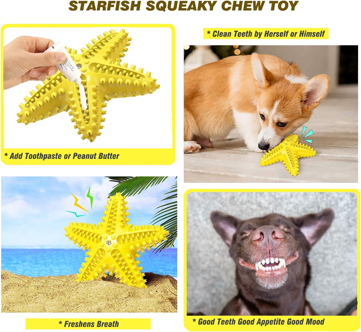 Sounding Starfish The Natural Toothbrush For Small And Medium Dogs Starfish Natural Tooth Brush Teeth Cleaning | Luxury Home Accessories | Heulog Glow