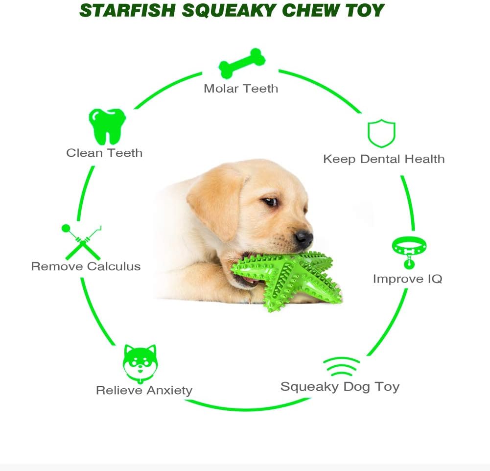 Sounding Starfish The Natural Toothbrush For Small And Medium Dogs Starfish Natural Tooth Brush Teeth Cleaning | Luxury Home Accessories | Heulog Glow