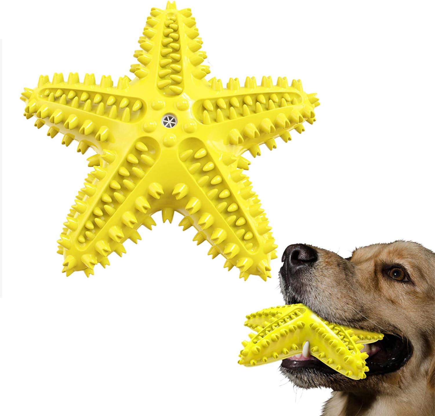 Sounding Starfish The Natural Toothbrush For Small And Medium Dogs Starfish Natural Tooth Brush Teeth Cleaning | Luxury Home Accessories | Heulog Glow