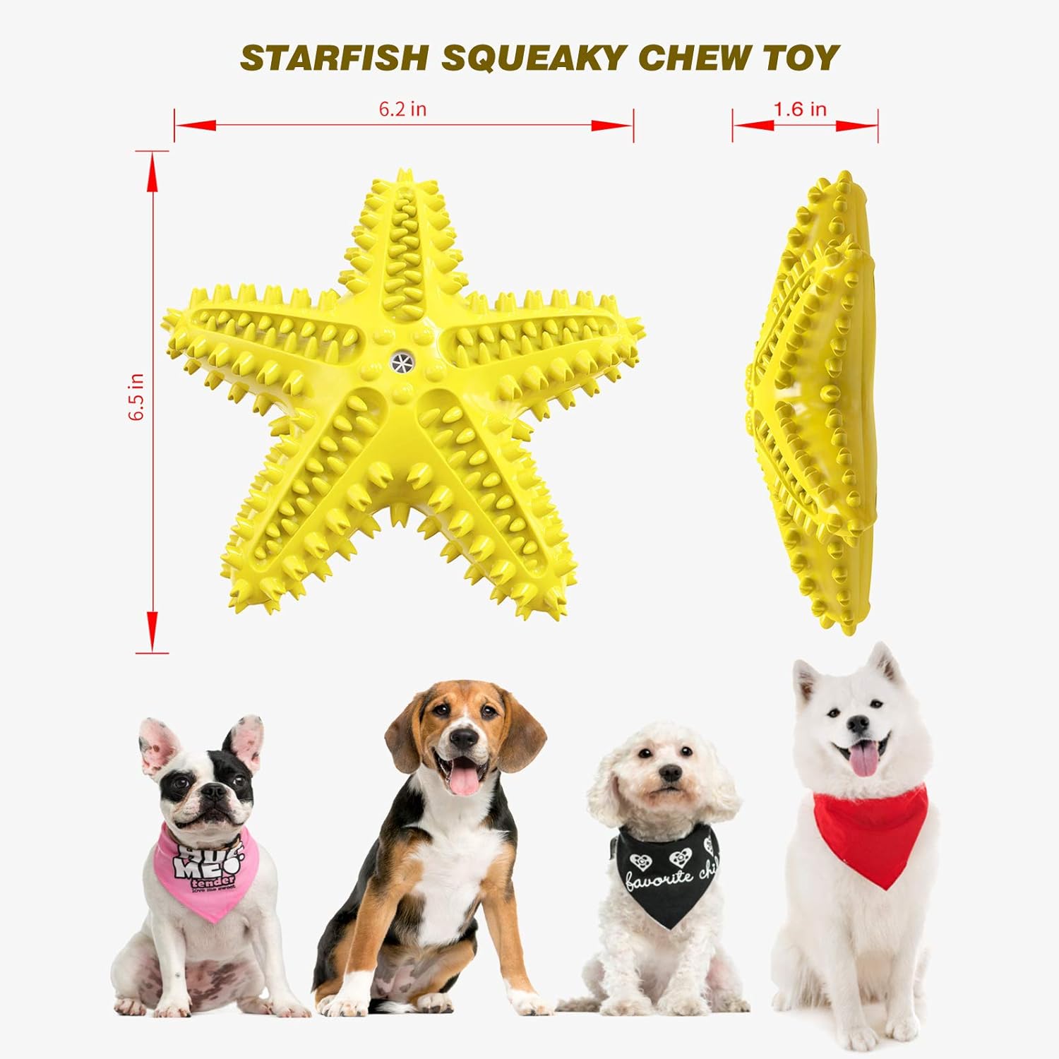 Sounding Starfish The Natural Toothbrush For Small And Medium Dogs Starfish Natural Tooth Brush Teeth Cleaning | Luxury Home Accessories | Heulog Glow