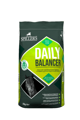 Spillers Daily Balancer 15kg | Luxury Home Accessories | Heulog Glow