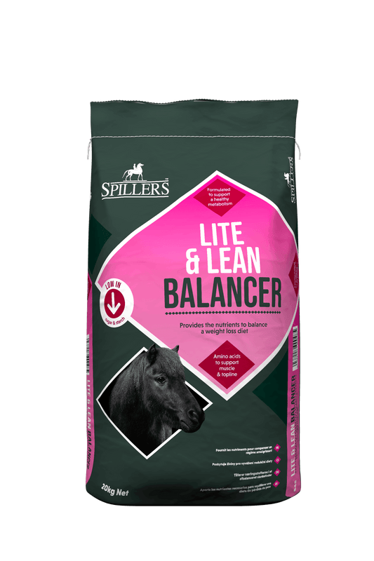Spillers Lite & Lean Balancer | Luxury Home Accessories | Heulog Glow