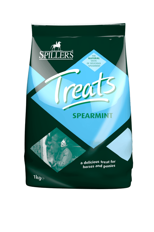 Spillers Treats Spearmint 8x1kg | Luxury Home Accessories | Heulog Glow