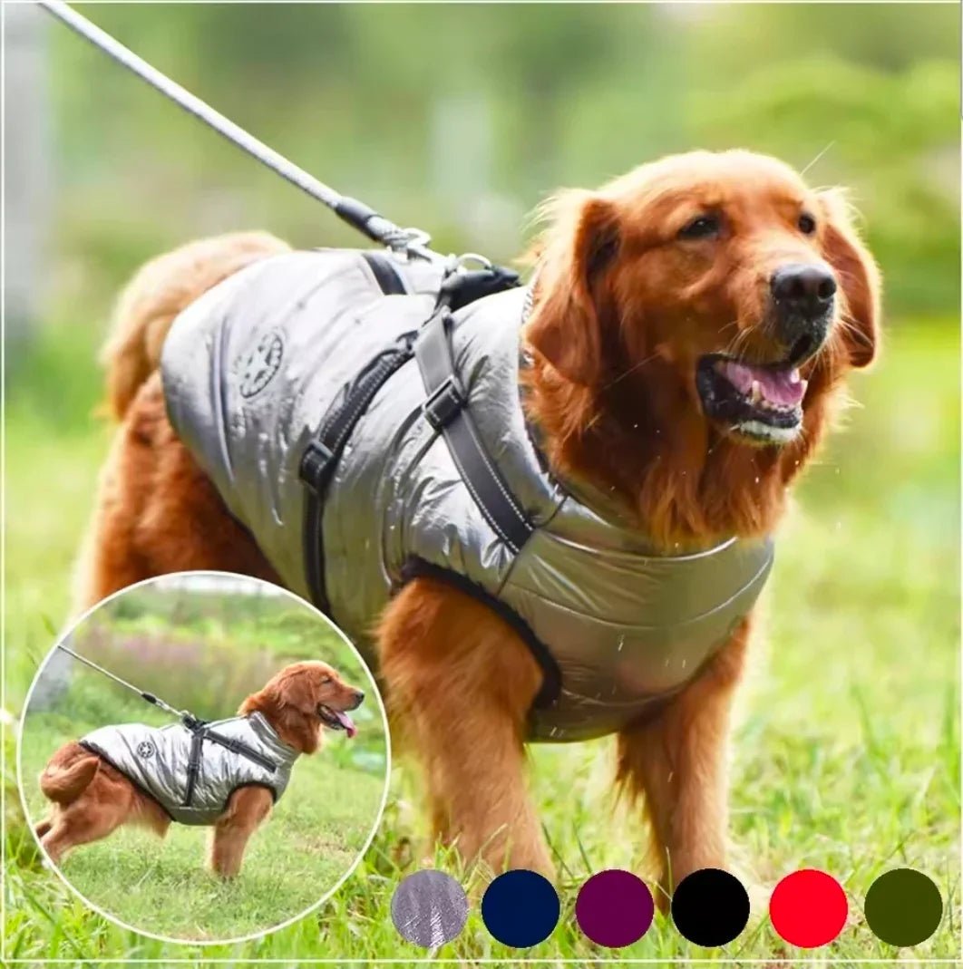 Sports Warm Dog Harness Coat | Luxury Home Accessories | Heulog Glow