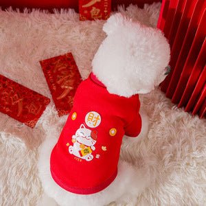 Spring And Autumn Thin Fleece Sweater Teddy Bichon | Luxury Home Accessories | Heulog Glow
