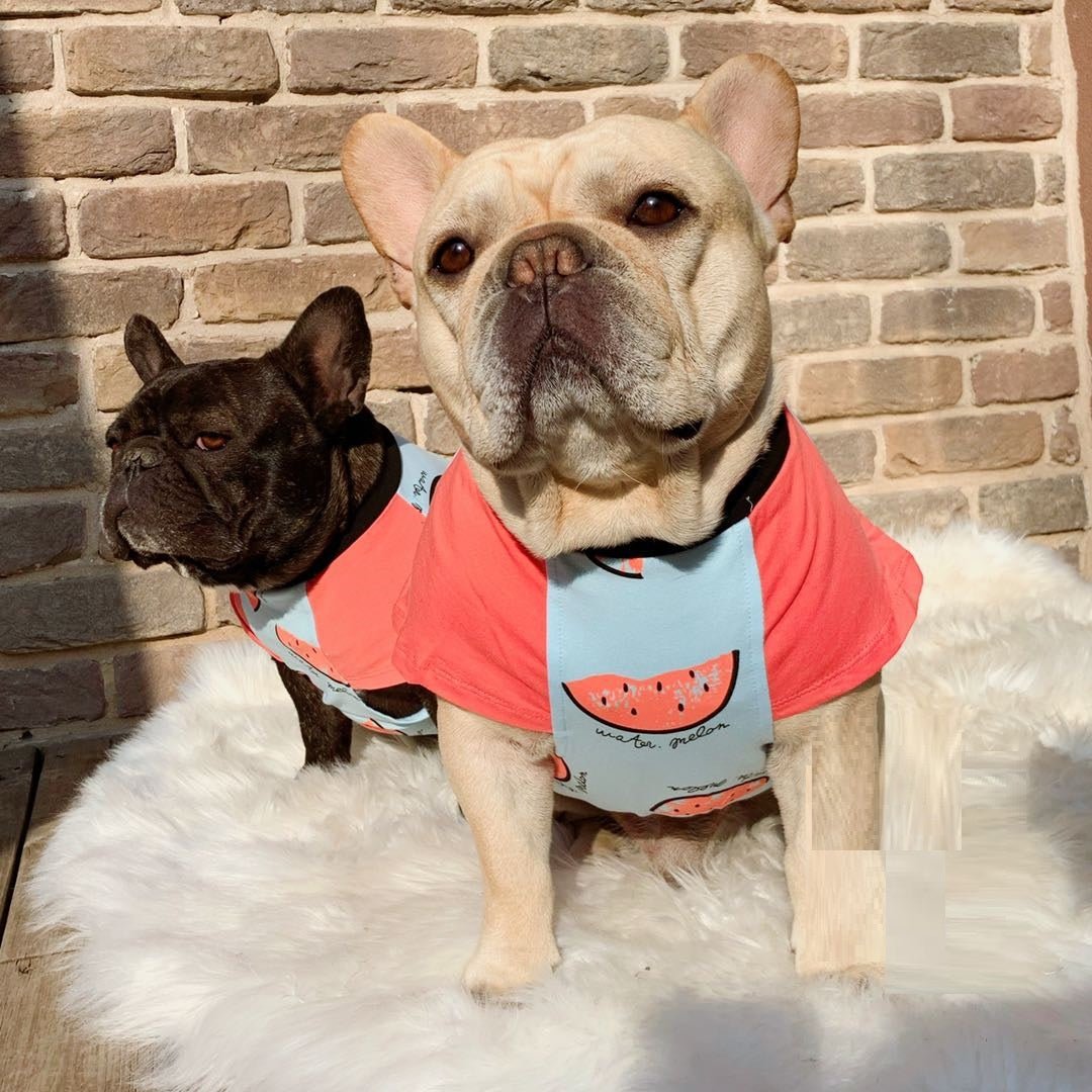 Spring And Autumn Thin Short Sleeve Dog Cotton Clothes | Luxury Home Accessories | Heulog Glow