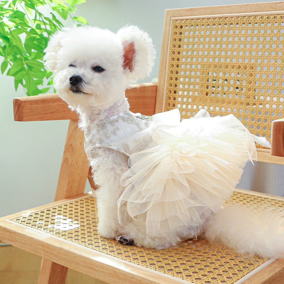 Spring And Summer Thin Dog Cat Wedding Dress | Luxury Home Accessories | Heulog Glow